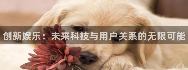 sunbet官网：创新娱乐：未来科技与用户关系的无限可能