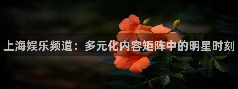 sunbet官网手机版：上海娱乐频道：多元化内容矩阵中的明星时刻
