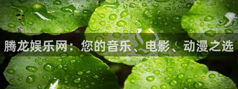 申慱sunbet手机版登管理网：腾龙娱乐网：您的音乐、电影、动漫之选