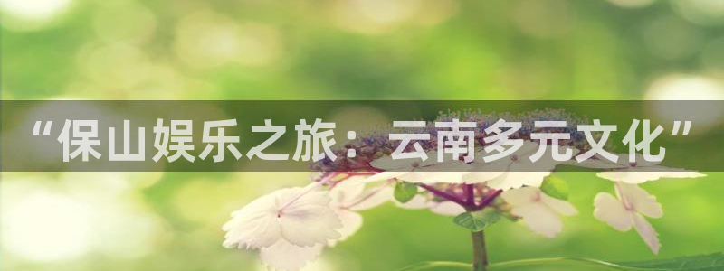 sunbet(中国区)官方网站：“保山娱乐之旅：云南多元文化”